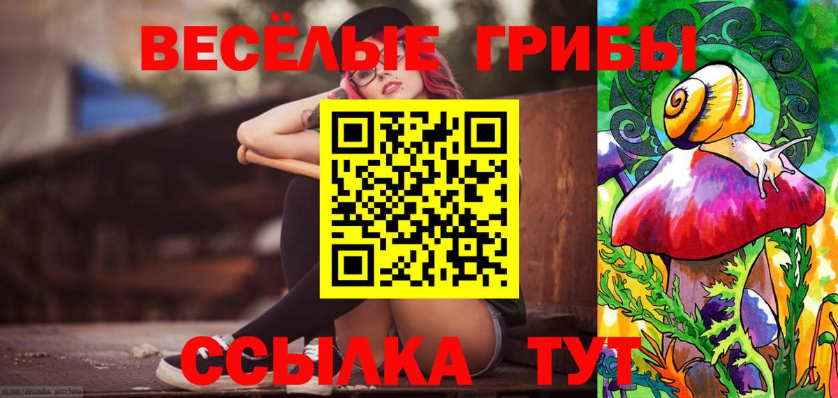 Псилоцибиновые грибы Psilocybine cubensis Верхняя Салда