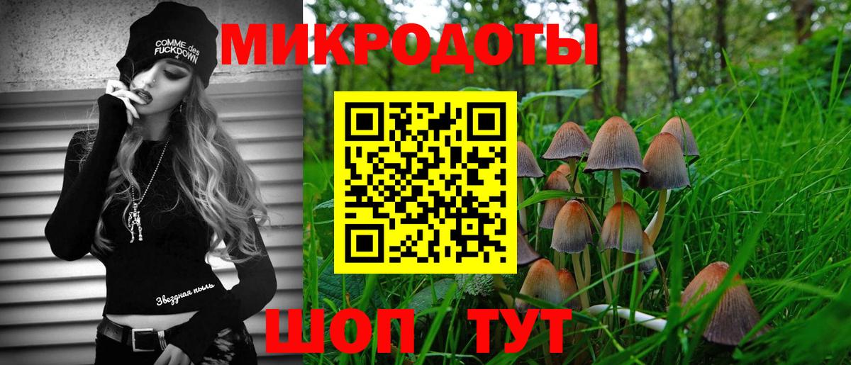 Верхняя Салда  Псилоцибиновые грибы Psilocybe  Галлюциногенные грибы прущие грибы  Вход с VPN 